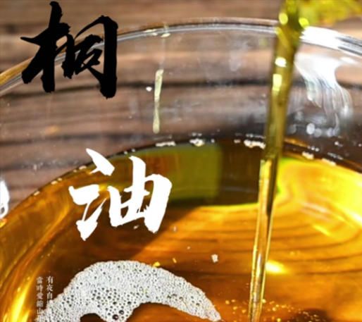 山桐子油功能性品質研究：原油綜合得分高，工藝選擇看這篇